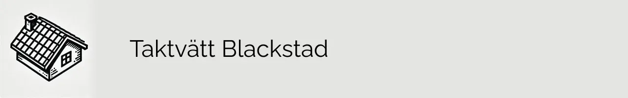 Taktvätt Blackstad