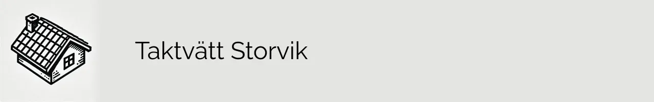 Taktvätt Storvik